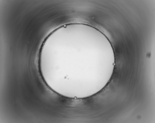 X0000103941144200809191411