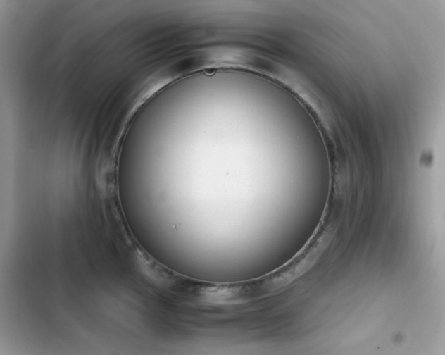 X0000103941145200809191411