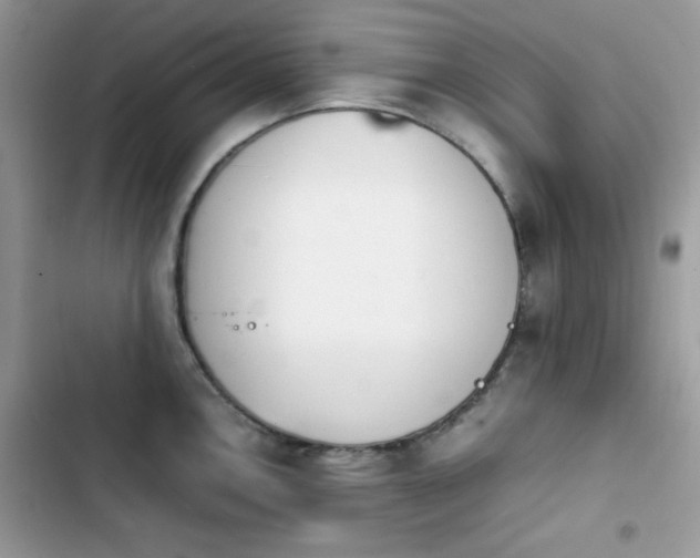 X0000103941146200809191411