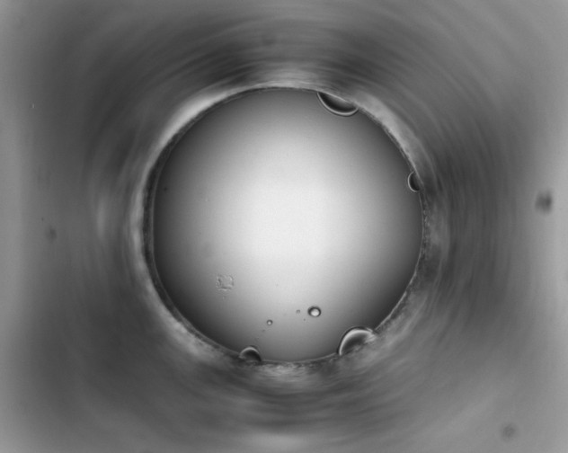 X0000103941147200809191411