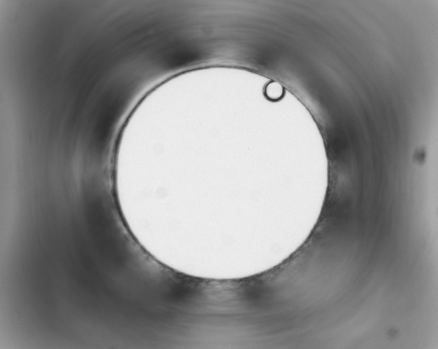 X0000103941148200809191411