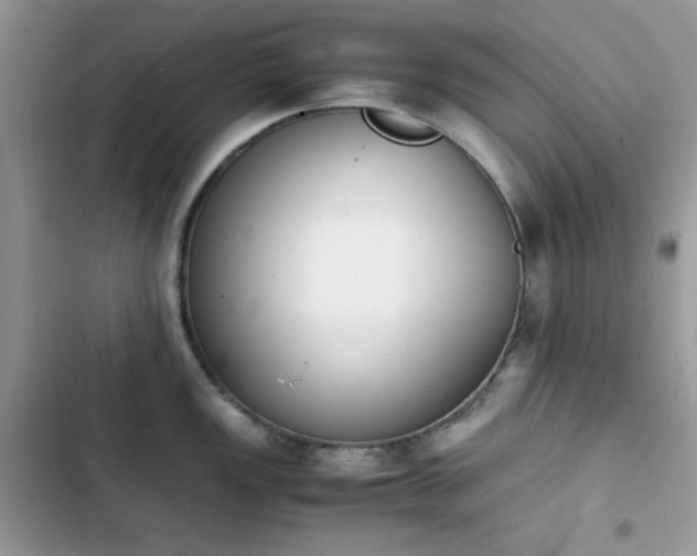 X0000103941149200809191411