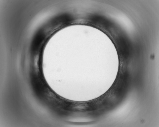 X0000103941150200809191411