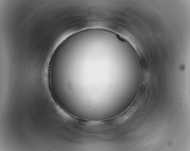 X0000103941151200809191411