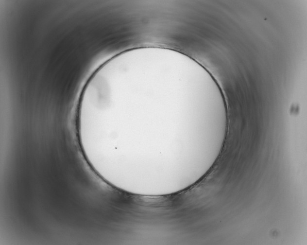 X0000103941152200809191411