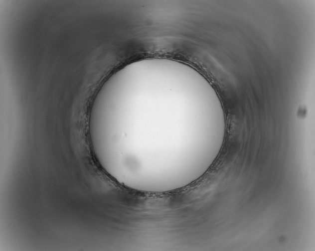 X0000103941153200809191410