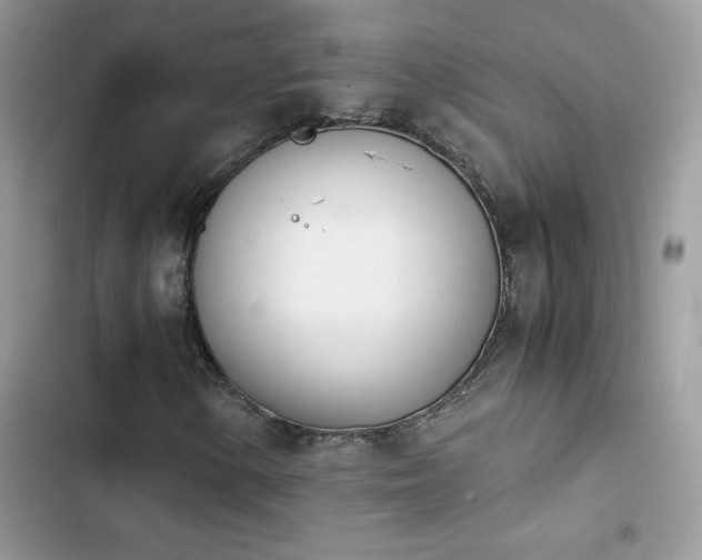 X0000103941154200809191410