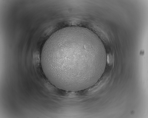 X0000103941155200809191410