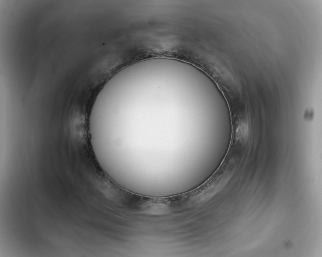X0000103941156200809191410