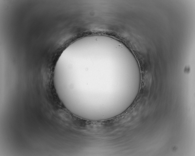 X0000103941157200809191410