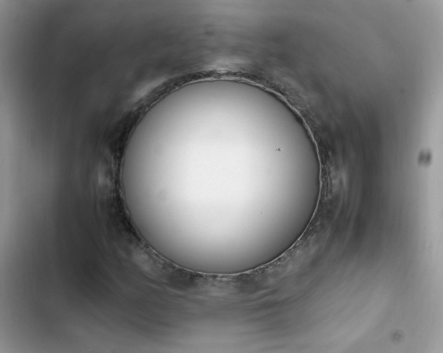 X0000103941158200809191410