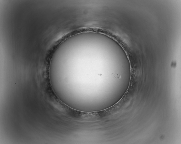 X0000103941159200809191410