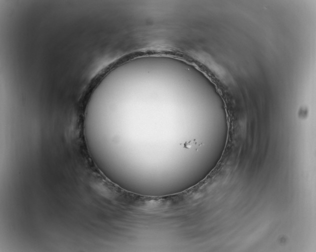 X0000103941160200809191410