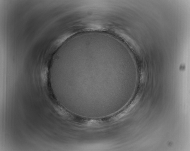 X0000103941161200809191410