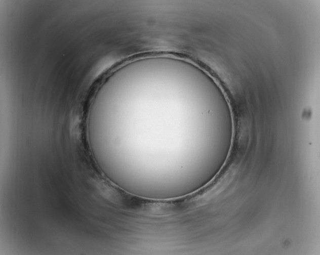 X0000103941163200809191410