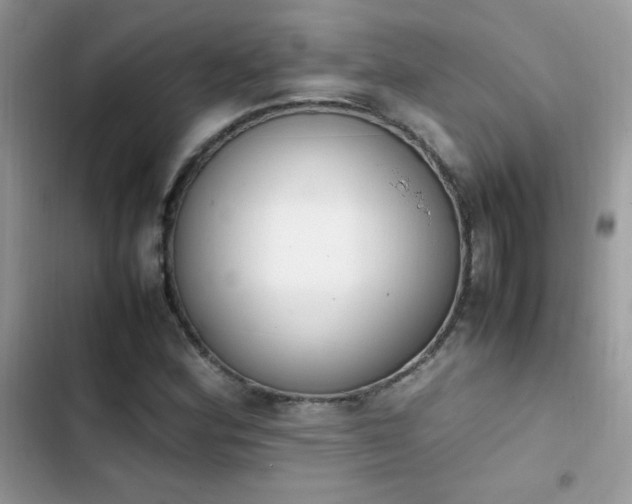 X0000103941164200809191410