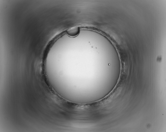 X0000103941165200809191410