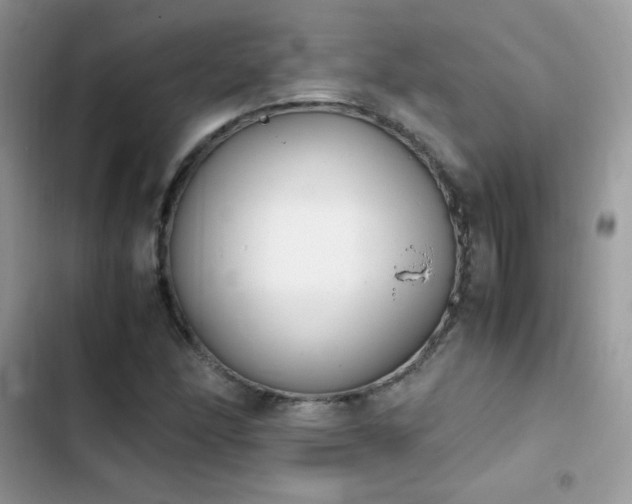 X0000103941166200809191410