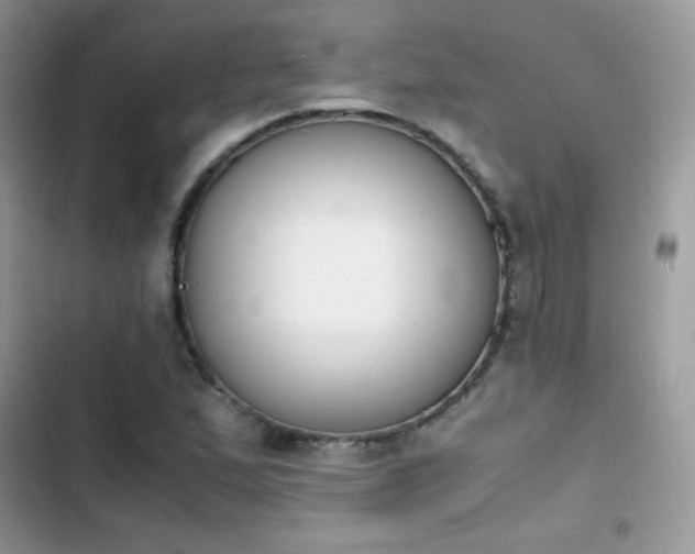 X0000103941167200809191410