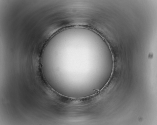 X0000103941169200809191410