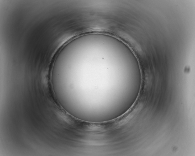 X0000103941170200809191410