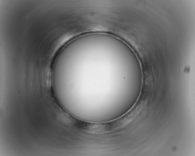 X0000103941171200809191410