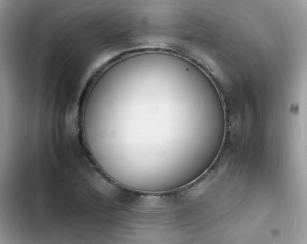 X0000103941172200809191410