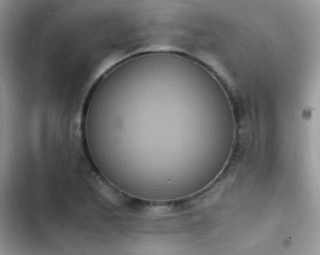 X0000103941173200809191410