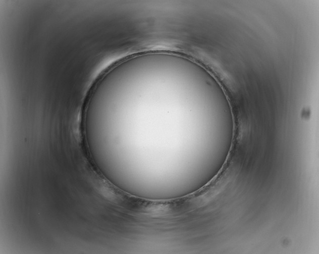 X0000103941174200809191410