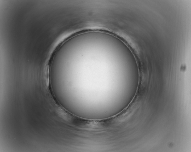 X0000103941175200809191410