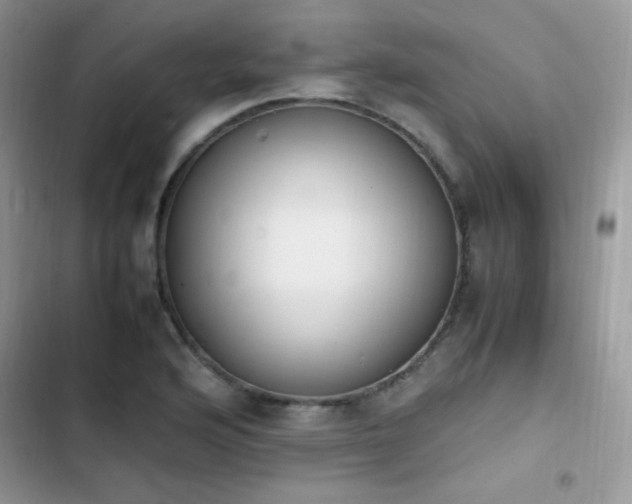 X0000103941176200809191410