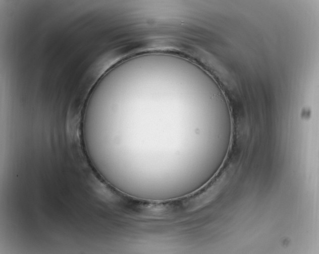 X0000103941177200809191410