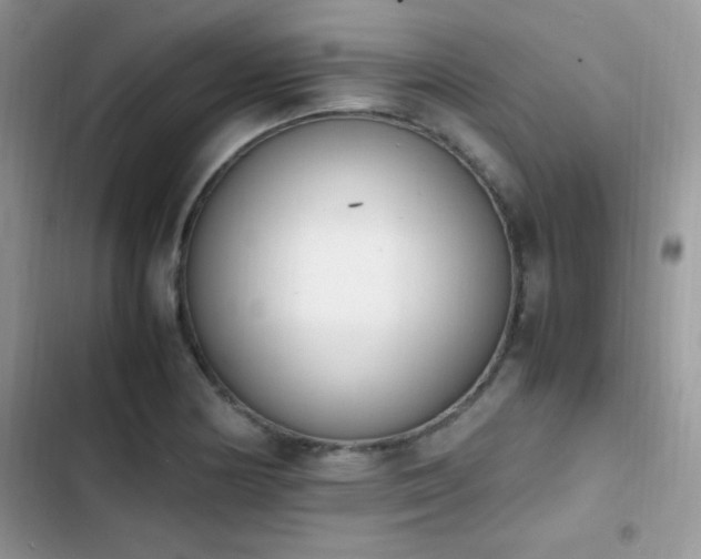 X0000103941178200809191410