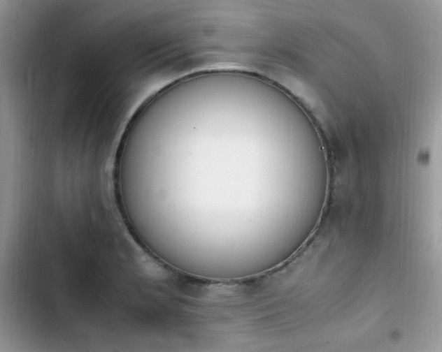 X0000103941181200809191410