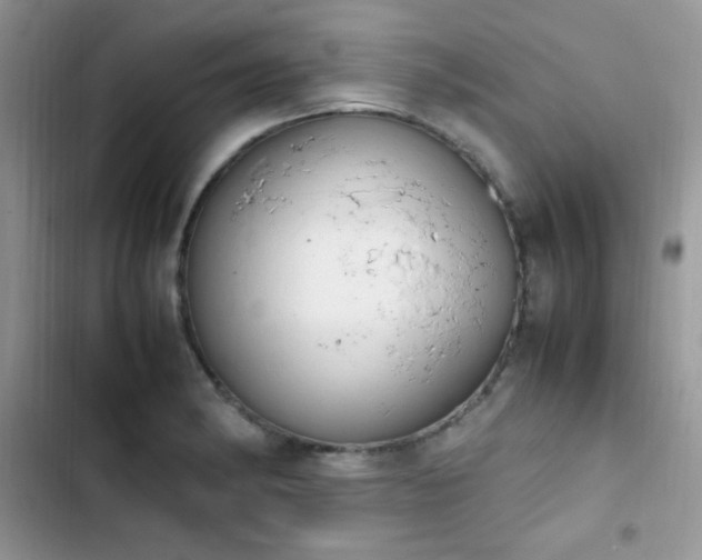 X0000103941182200809191410