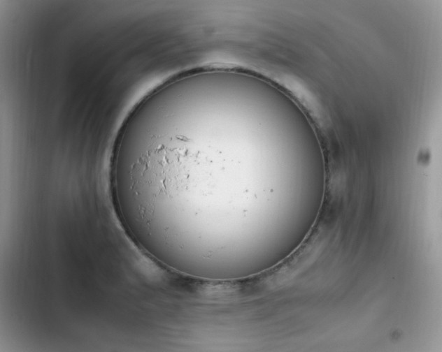 X0000103941183200809191410