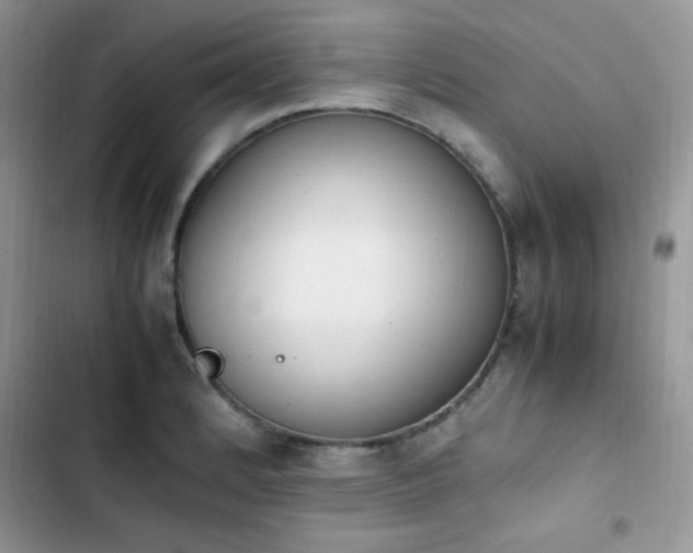 X0000103941184200809191410