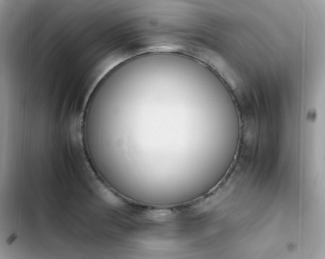 X0000103941186200809191409