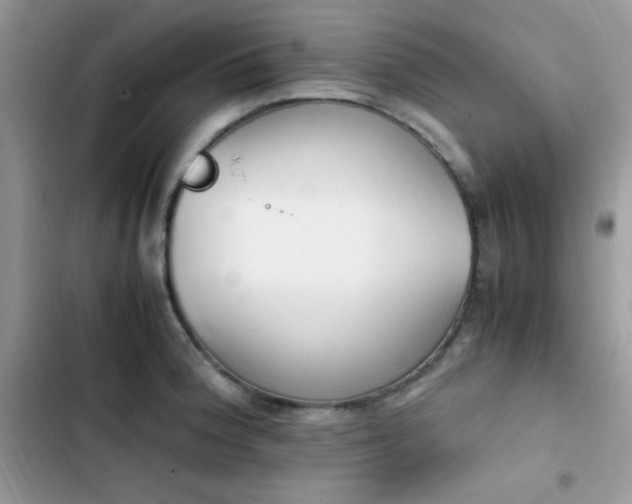 X0000103941188200809191409