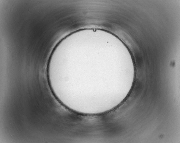 X0000103941189200809191409