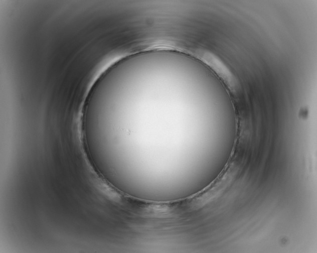 X0000103941190200809191409