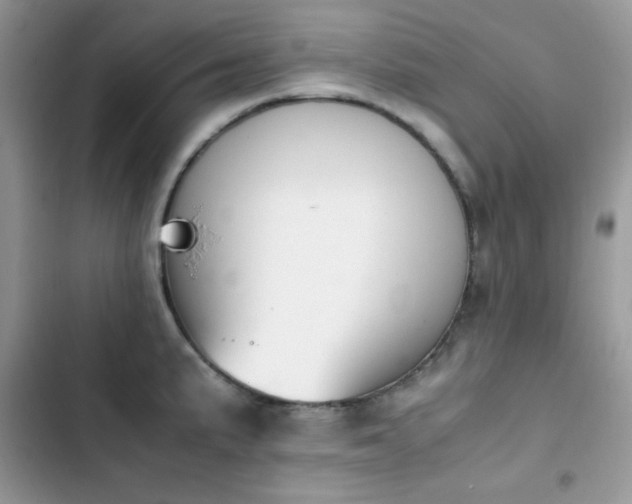 X0000103941191200809191409