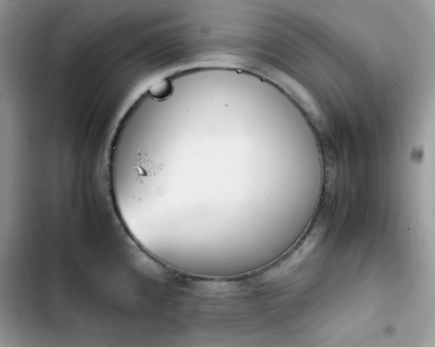 X0000103941192200809191409