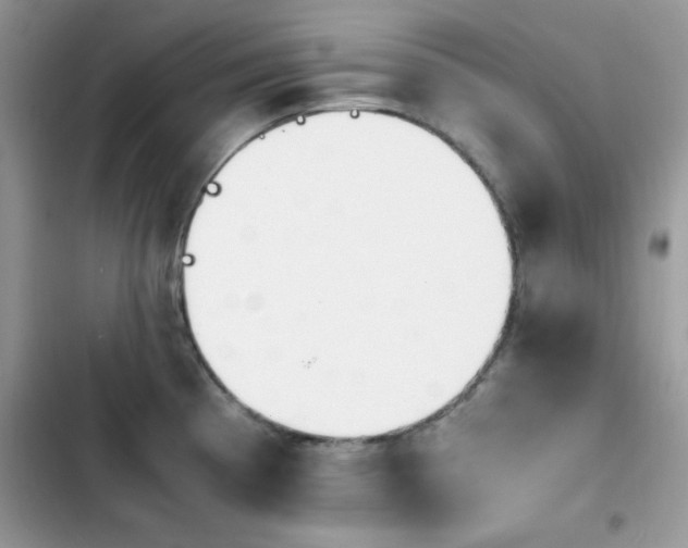 X0000103941193200809191409