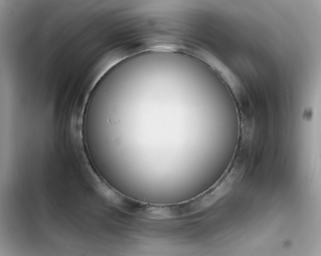 X0000103941194200809191409