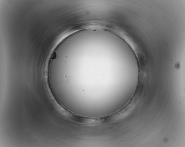 X0000103941195200809191409