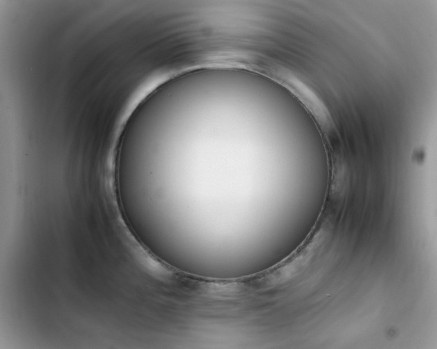 X0000103941196200809191409