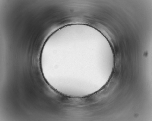 X0000103941197200809191409