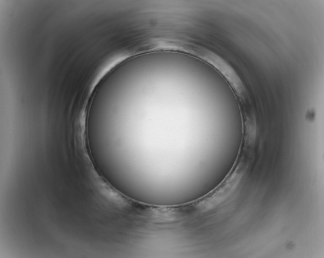 X0000103941198200809191409