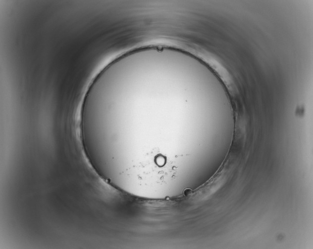 X0000103941199200809191409